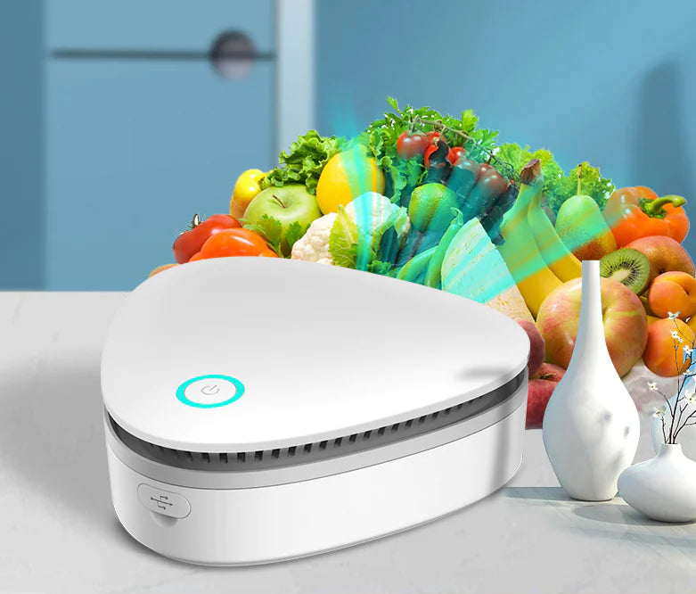 Desinfectante de Ozono para Uso Doméstico y Esterilizador para Coches