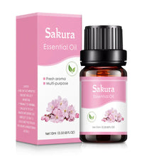 Plant Aromatherapy Oil 10ml essential oil for car