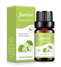 Plant Aromatherapy Oil home and office fragrance