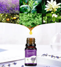 Plant Aromatherapy Oil portable aromatherapy oil bottle