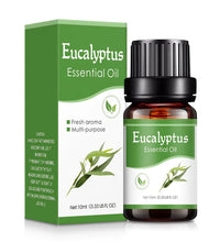 Plant Aromatherapy Oil 10ml essential oil for car