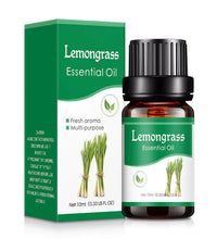 Plant Aromatherapy Oil home and office fragrance